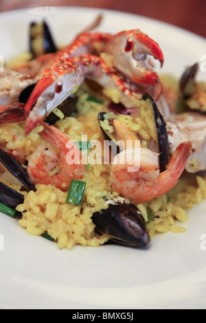 Meeresfrüchte-Platte mit Muscheln, Garnelen und Krabben auf Reis Stockfoto