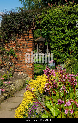 Englisch Cottage Garden Blumen im Frühling York North Yorkshire England Großbritannien Großbritannien GB Großbritannien Stockfoto