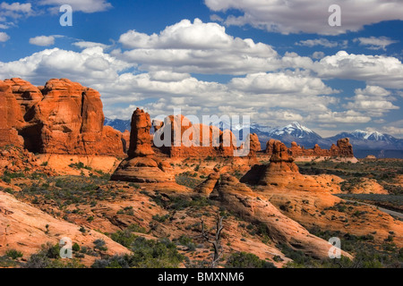 Garten Eden Abschnitt des Arches-Nationalpark im südöstlichen Utah USA mit Schnee bedeckt La Sal Mountains in der Ferne Stockfoto