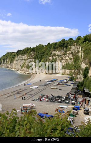 Die Bucht und Kies Strand von Bier in Devon England Stockfoto