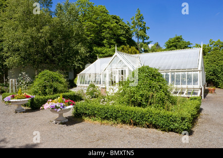 Gewächshaus im Garten Stockfoto