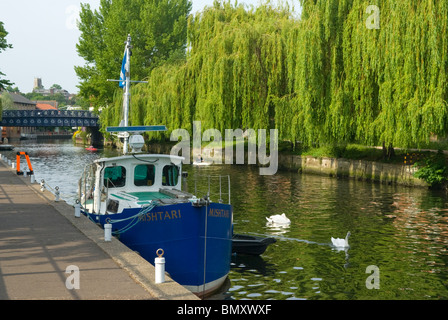 Boot vor Anker am Fluss Wensum, Norwich, Norfolk, England. Stockfoto