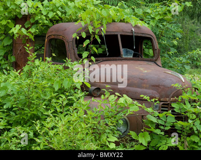 alten verrosteten Lastwagen im überwucherten Laub Stockfoto