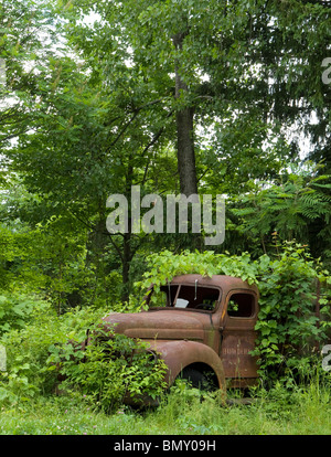 alten verrosteten Lastwagen im überwucherten Laub Stockfoto