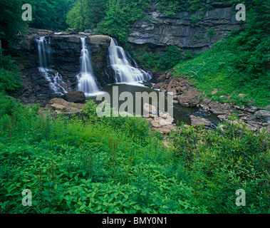 Blackwater Falls State Park, WV Blackwater fällt am Fluss Blackwater im Sommer in der Nähe der Stadt von Davis, West Virginia Stockfoto