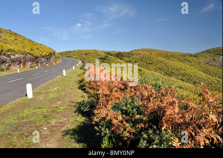 Straße in Plateau des Parque natural de Madeira, Insel Madeira, Portugal Stockfoto