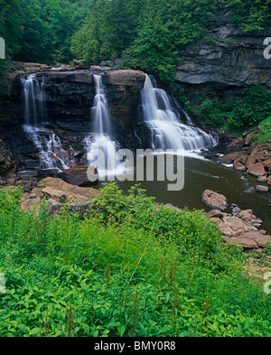 Blackwater Falls State Park, WV Blackwater fällt am Fluss Blackwater im Sommer in der Nähe der Stadt von Davis, West Virginia Stockfoto