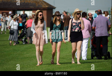 Lincolnshire Show. 23. 24. Juni 2010 Stockfoto