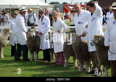 Lincolnshire Show. 23. 24. Juni 2010 Stockfoto