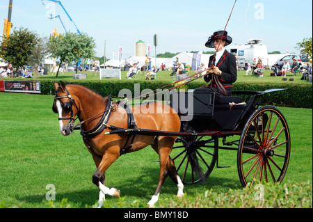 Lincolnshire Show. 23. 24. Juni 2010 Stockfoto