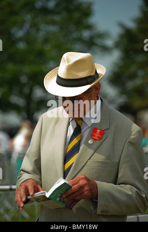 Lincolnshire Show. 23. 24. Juni 2010 Stockfoto