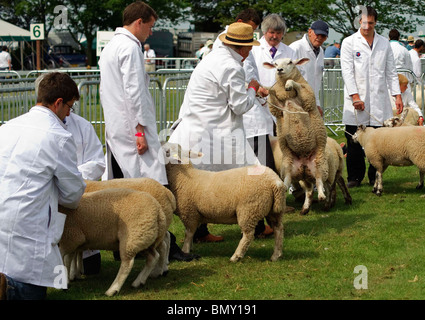 Lincolnshire Show. 23. 24. Juni 2010 Stockfoto