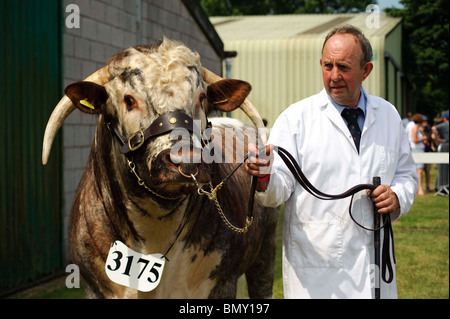 Lincolnshire Show. 23. 24. Juni 2010 Stockfoto