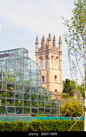 Gewächshaus im Botanischen Garten, Oxford, England, mit dem Turm des Magdalen College im Hintergrund Stockfoto