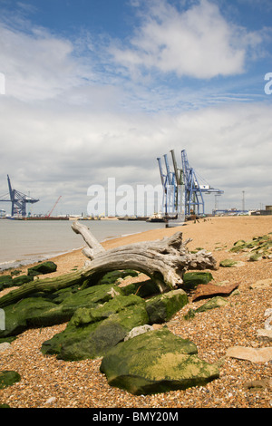 Kräne im Hafen von Felixstowe angesehen von Landguard Punkt, Suffolk, England. Stockfoto