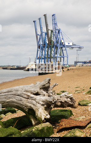 Kräne im Hafen von Felixstowe angesehen von Landguard Punkt, Suffolk, England. Stockfoto