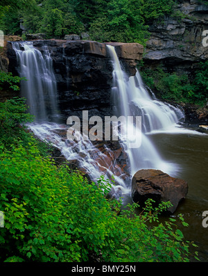 Blackwater Falls State Park, WV Blackwater fällt am Fluss Blackwater im Sommer in der Nähe der Stadt von Davis, West Virginia Stockfoto