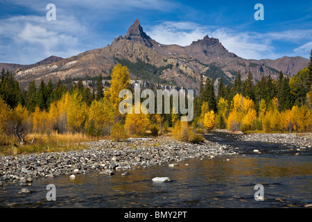 Shoshone National Forest, WY Ansicht des Pilot Haupt- und aus entlang der Clarks Fork River mit Herbst farbige Pappeln Stockfoto