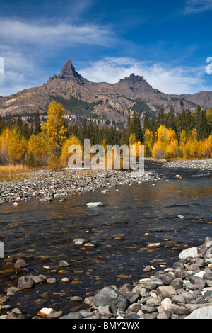 Shoshone National Forest, WY Ansicht des Pilot Haupt- und aus entlang der Clarks Fork River mit Herbst farbige Pappeln Stockfoto