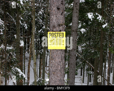 Eine gelbe Privateigentum melden Sie auf einem Baum im Wald im winter Stockfoto