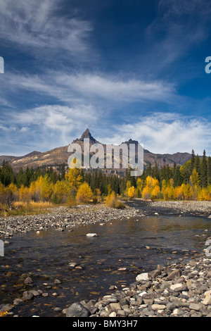 Shoshone National Forest, WY: Anzeigen der Pilot Peak und vom zusammen fallen der Clarks Fork River mit farbigen Pappeln Stockfoto