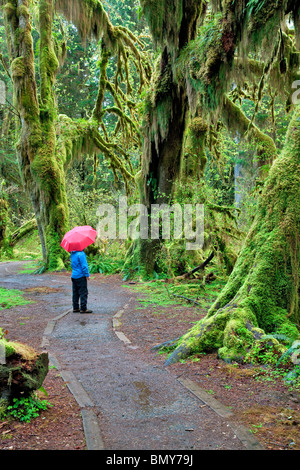 Pfad in Halle von Moosen mit Wanderer mit roten Unbrella. Hoh Regenwald. Olympic Nationalpark, Washington Stockfoto