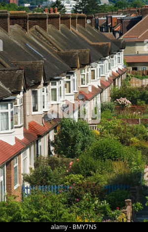 Reihenhäuser vor Gärten Vorstadt Süden London Großbritannien HOMER SYKES Stockfoto