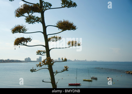 La Manga del Mar Menor Strand CARTAGENA Murcia Region Spanien Stockfoto