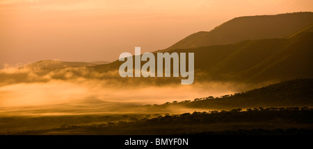 Morgen im Hluhluwe-iMfolozi-Park. KwaZulu Natal. Südafrika. Stockfoto