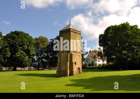 Die alten Tauben in Abington Park, Northampton, Northamptonshire, England, UK Stockfoto