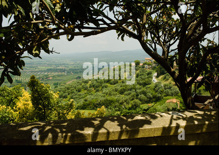 Blick von Castagneto Carducci, Toskana, Italien Stockfoto