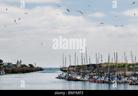 Möwen fliegen über Littlehampton Hafen in West Sussex. Foto von Gordon Scammell Stockfoto