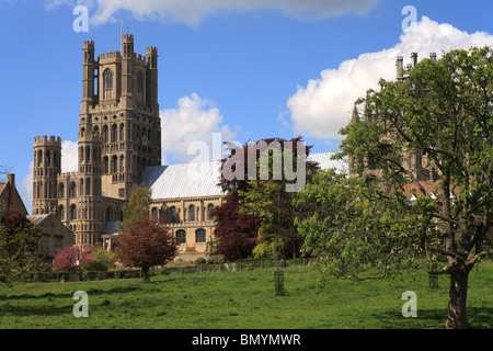 Ely Kathedrale außen von Cathedral Park, Cambridge, England, UK Stockfoto