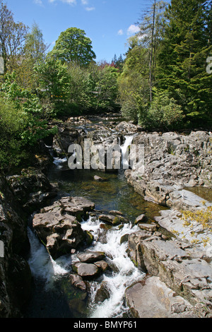 Betws-y-Coed - der Fluss Llugwy fließt über die Pont-y-paar Wasserfälle in der Nähe der Brücke mit dem gleichen Namen Stockfoto