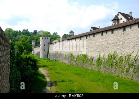 Mühlgraben alten Stadtmauern, St. Alban, Basel, Schweiz Stockfoto