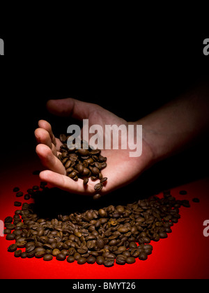 Die Hand eines Mannes Kaffeebohnen auf eine rote Fläche fallen zu lassen. Stockfoto