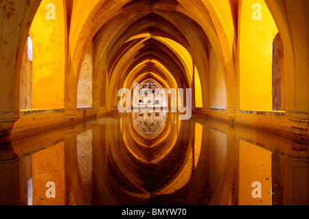 Die Regenwasser-Pool von Dona Maria de Padilla in der Reales Alcazares Sevilla Stockfoto