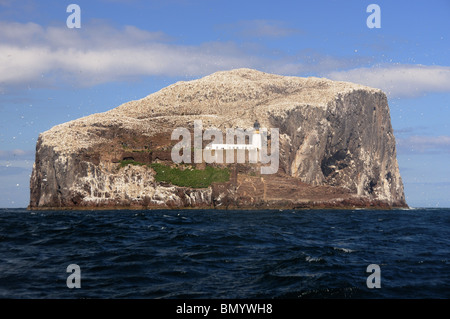 Der Bass Rock, East Lothian, Scotland Stockfoto