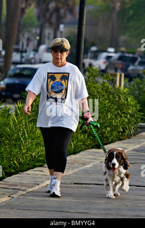 Frau zu Fuß English Springer Spaniel entlang der Batterie in Charleston, South Carolina Stockfoto