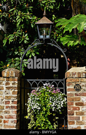 Schmiedeeisen Garten Tor, Gaslampe und Blumen im französischen Viertel von Charleston, South Carolina Stockfoto