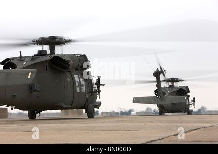 Zwei UH-60 Black Hawks Taxi für eine Mission in Nordirak. Stockfoto