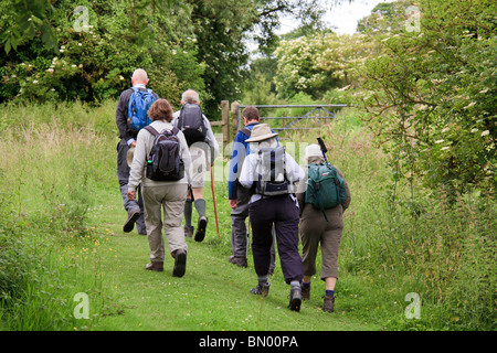 Gruppe von sechs späten Mittleren Alter Wanderer mit Tag Rucksäcken auf Feldweg in Richtung Tor. Stockfoto