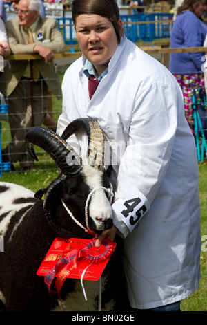 Preis Schafmedaillengewinnerinnen, Tierpreis, Rosette, Showband, Wettbewerb, Symbol, Gewinner, Kopfgeschirr, reinrassig, Erfolg, Abzeichen, Sieg, Gewinner bei der großen Royal Highland Show 2010  Scottish Agricultural Society of Scotland, Edinburgh, Großbritannien Stockfoto