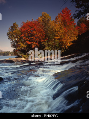 Wasserfall im Herbst Laub, NY Stockfoto