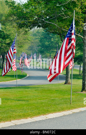 Amerikanische Flaggen Futter Straßeneingang am Nationalfriedhof in Bourne, Massachusetts Cape Cod am Memorial Day. USA Stockfoto