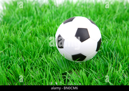 Weiße Fußball auf dem Rasen auf weißem Hintergrund Stockfoto