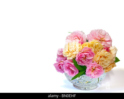 Strauch-Rosen Fritz Nobis und Buff Beauty in Crystal Rosebowl Stockfoto