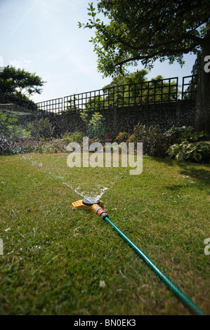 Wasser Regner bewässern eine Wiese im Garten Stockfoto