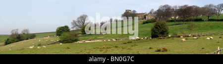 Mellor, Str. Georges Kirche mit Blick auf Felder von Schafen, Panorama, Stockport, Cheshire, England Stockfoto