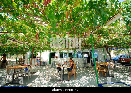 NORD-ZYPERN. Das Asmali Plaj-Restaurant am Strand von Yesilirmak (Limnitis), mit seinen Weltrekord größte Wein auf der Terrasse. 2009 Stockfoto